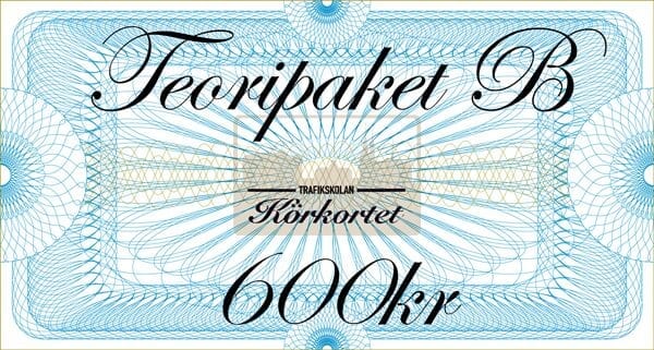 vardecheck_teoripaket_b Värdecheck